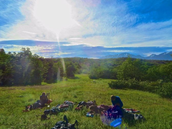Late Spring in Patagonia
