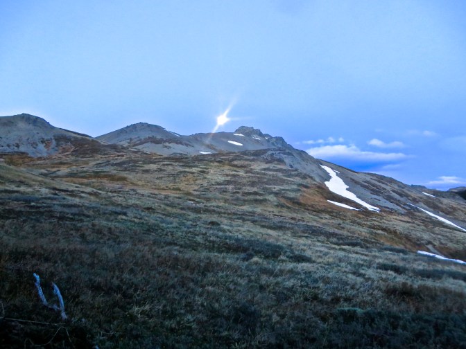 Moonrise above Treeline
