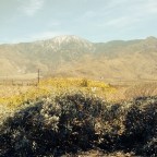 Pacific Crest Trail Thru Hike: San Jacinto Wilderness