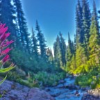 Pacific Crest Trail Thru Hike: Bridge of the Gods to Snoqualmie Pass