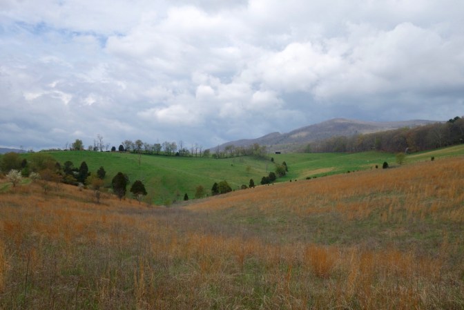 0F62EA17-FB98-4A0C-82F5-2C9379C39D0A