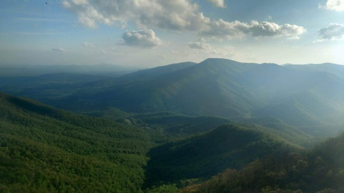 21875661_1644973008859984_130754738_o